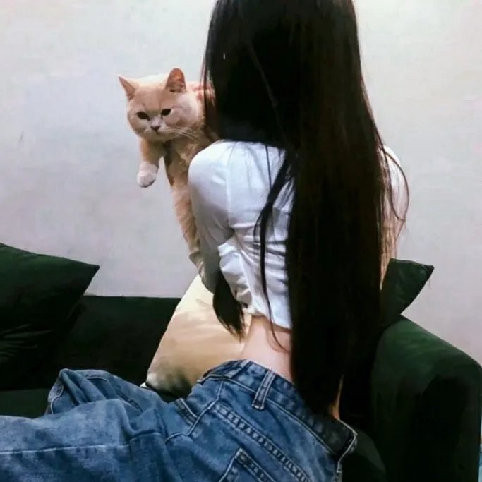 森林中的餐厅